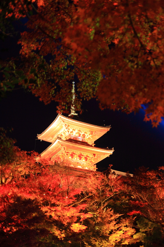 紅葉ライトアップ