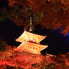 紅葉ライトアップ