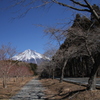富士宮からの富士山１