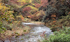 鶴仙渓　11月23日　17