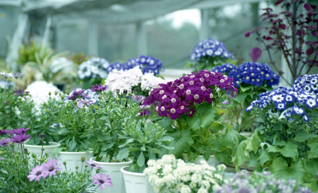 福井県総合グリーンセンター　H24.3.4.04