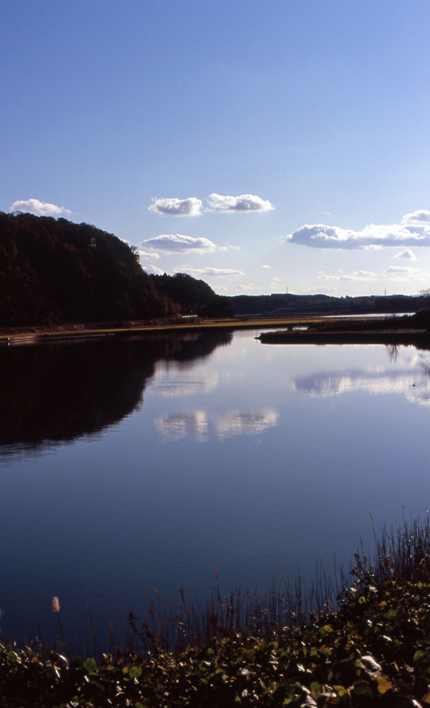 北潟湖　11月26日