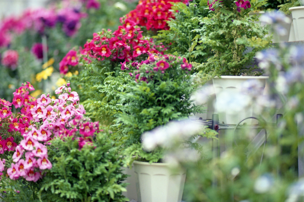 福井県総合グリーンセンター　H24.3.4.09