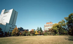 福井市中央公園　11月　03