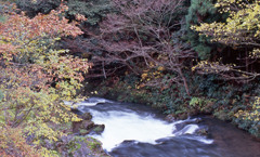 荒俣峡　11月26日　02