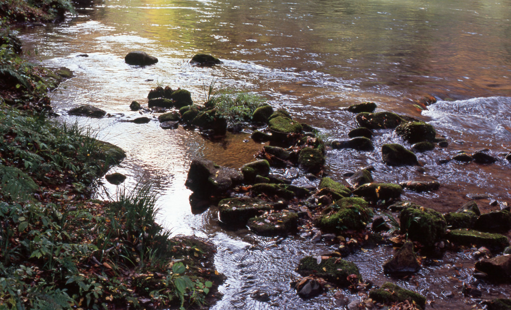 鶴仙渓　11月23日　12
