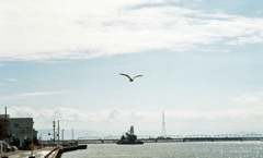 三国港　H24.2下旬02