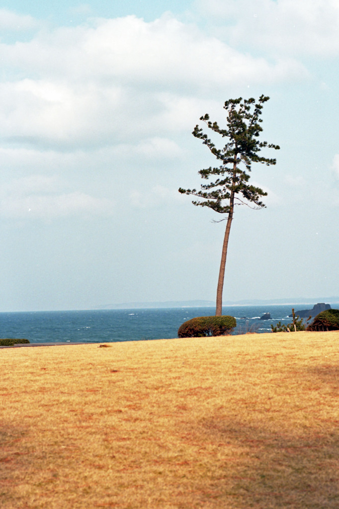 三国町安島　H24.3.3.03