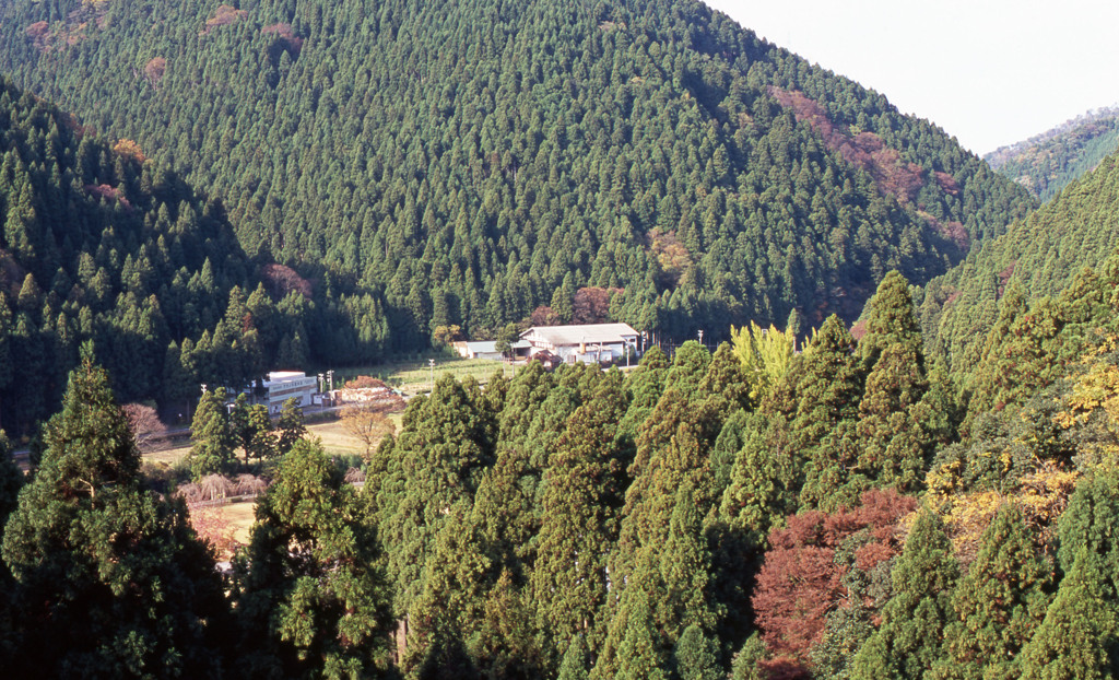 丸岡温泉たけくらべ　11月23日