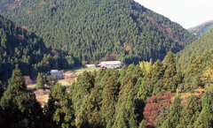 丸岡温泉たけくらべ　11月23日