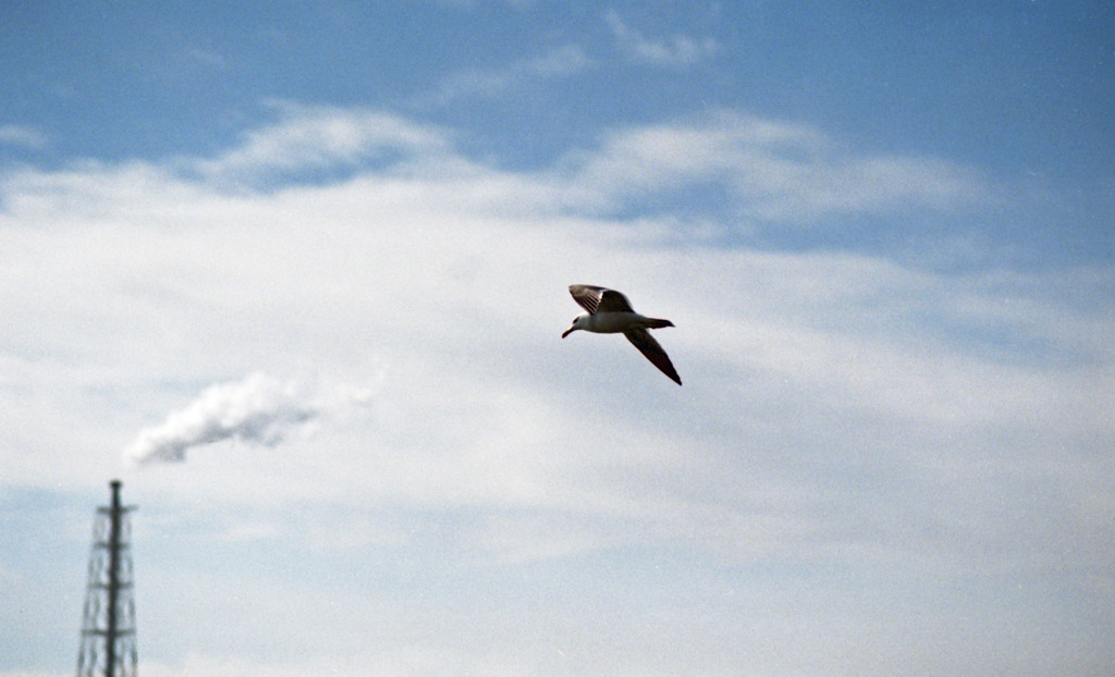 三国港　H24.2下旬01