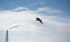 三国港　H24.2下旬01