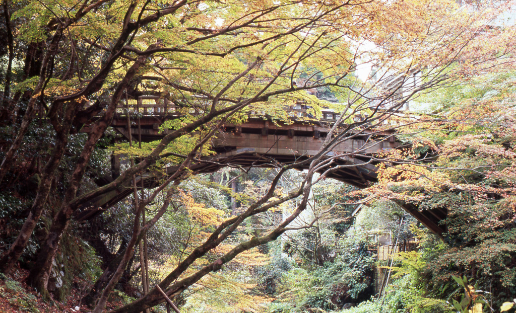 鶴仙渓　11月23日　09