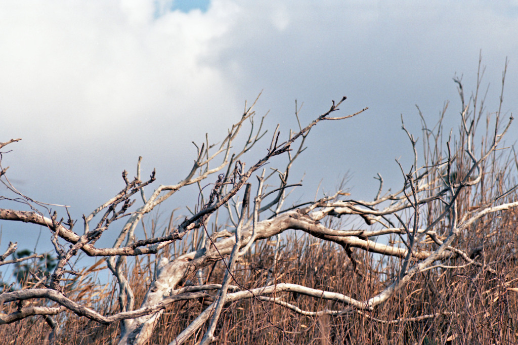 三国町安島　H24.3.3.05