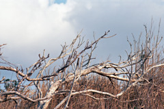 三国町安島　H24.3.3.05