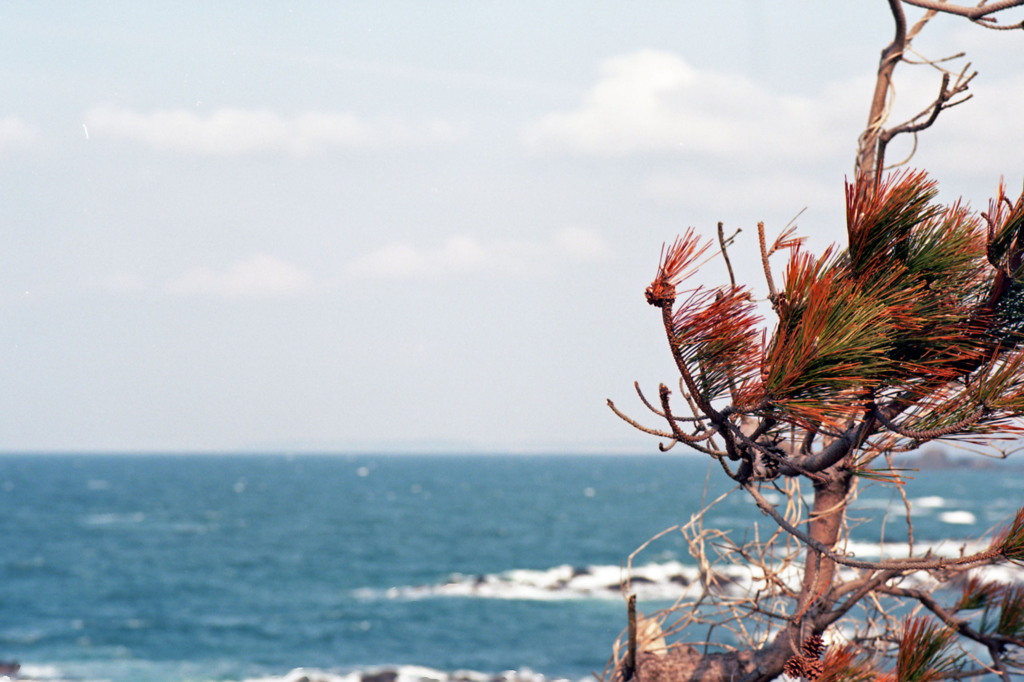 三国町安島　H24.3.3.01