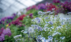 福井県総合グリーンセンター　H24.3.4.01