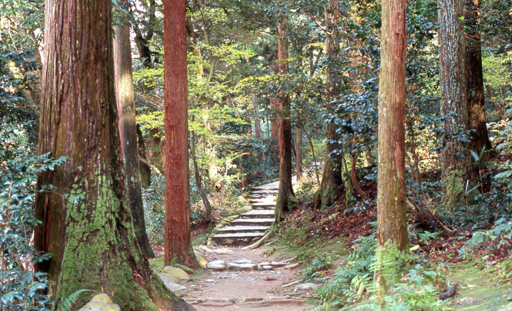 鶴仙渓　11月23日　13