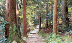 鶴仙渓　11月23日　13