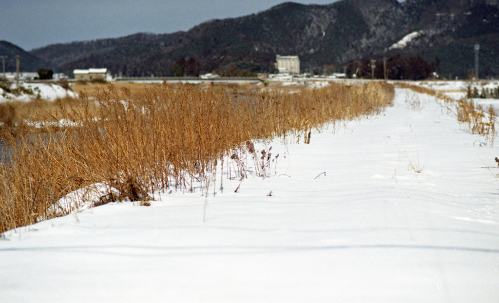 竹田川　H24.2下旬01
