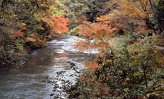 鶴仙渓　11月23日　18