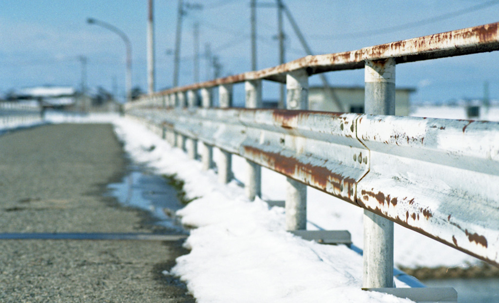 竹田川　H24.2下旬03