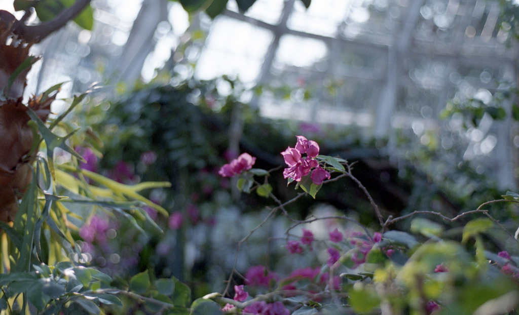 福井県総合グリーンセンター（H24.1.22）02