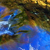 虹色の流れ