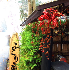 ～ふらり～と立ち寄りたくなる茶房