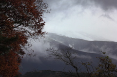 里山に迫る冬景色