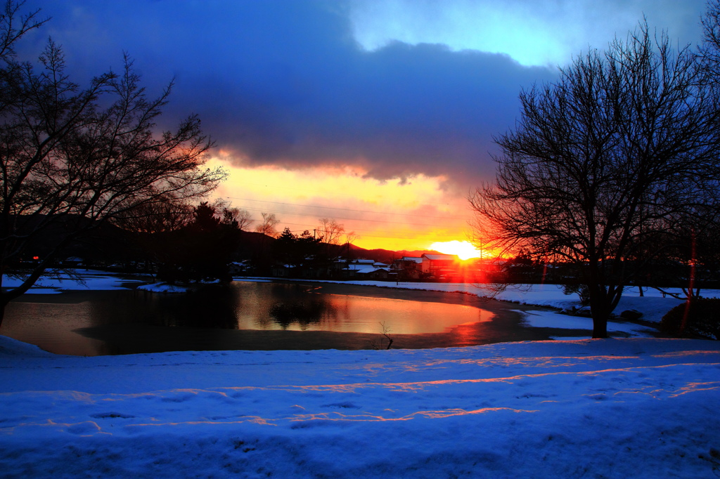 『浄土庭園』～染まる～