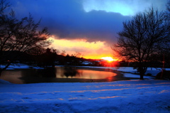 『浄土庭園』～染まる～