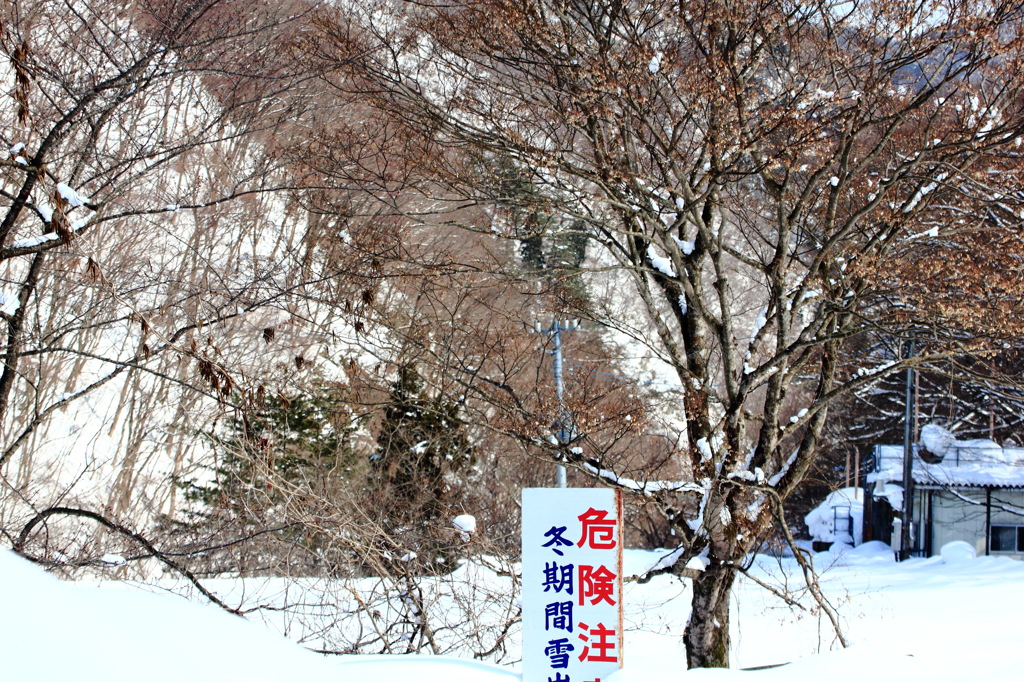 雪崩　危険！