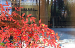 Shopwindow