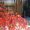 Shopwindow
