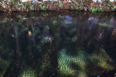 伏流水流れる川②