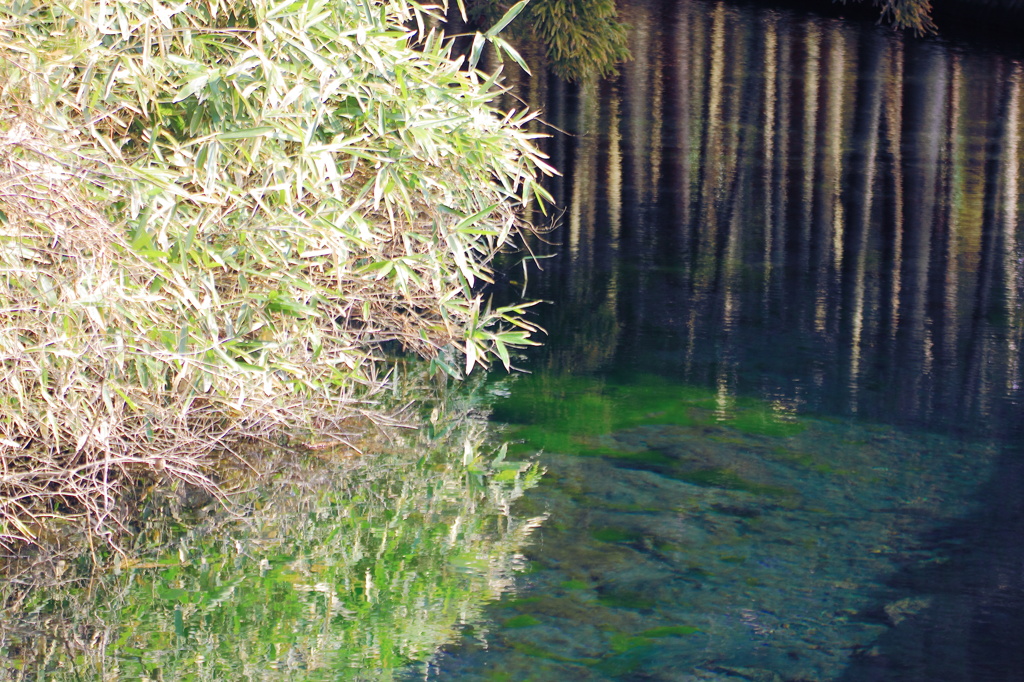 伏流水流れる川③