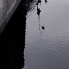 SDIM1099p
