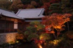 20111124022