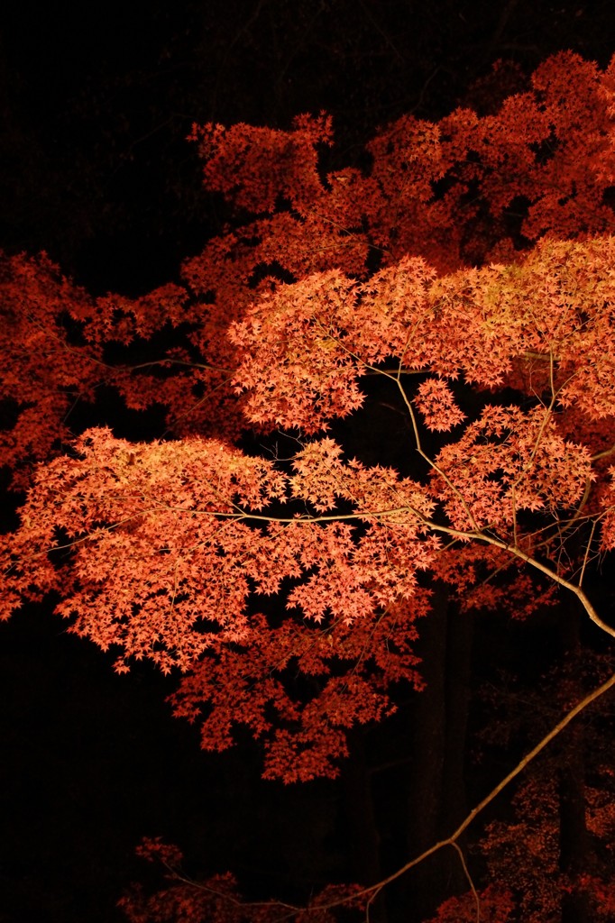 20111124059