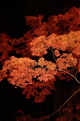 20111124059