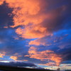 IMG_5874[1]