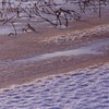 雪の模様