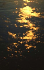 穏やかな流れ