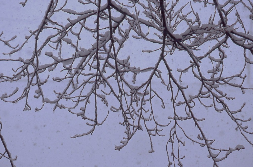 雪の午後