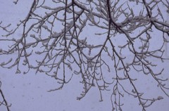 雪の午後