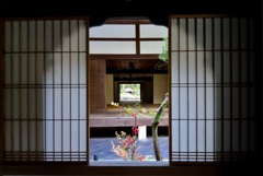 窓から見える和