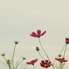 ソラトハナ