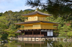 金閣寺