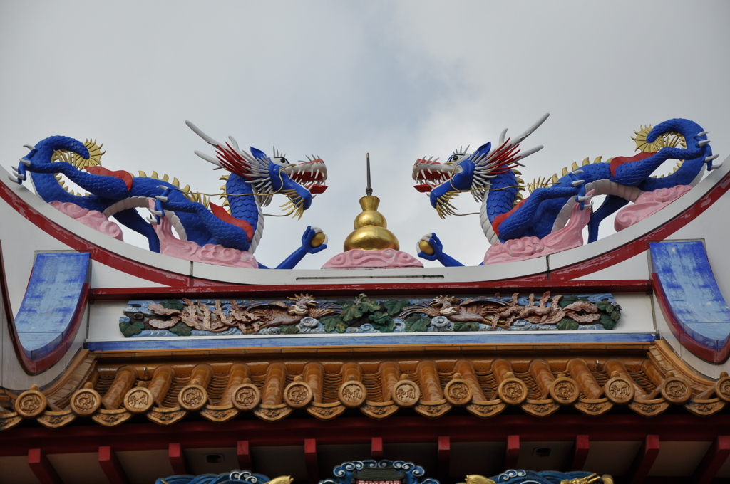 双龍